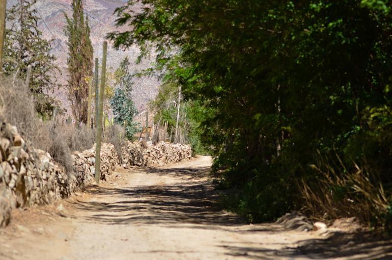 Villa Refugios Pisco Elqui Extérieur photo