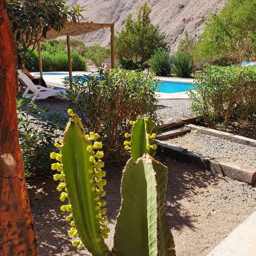 Villa Refugios Pisco Elqui Extérieur photo